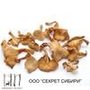 Chanterelle dried