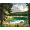 Опт-картина / Pittura con numeri 40x50 Lago nella foresta Lake