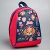 Paw Patrol / Children's backpack "Sky"