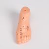 Сималенд / Foot acupuncture model, 13 cm