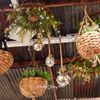 Kaemingk / Pendant lamp on a rope Copenhagen 80 * 10 cm 15 micro LED lamps, battery operated, glass