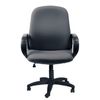 Armchair "Practician", with armrests, black-gray