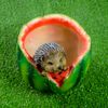 Хорошие сувениры / Shaped pots "Watermelon"