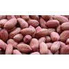 Peanut kernels