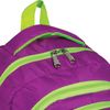 Backpack BRAUBERG for seniors/students/youth, "Crocus", 30 liters, 46х34х18 cm