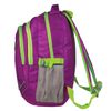 Backpack BRAUBERG for seniors/students/youth, "Crocus", 30 liters, 46х34х18 cm