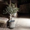 Kaemingk / LED garland Volumetric 80 cold white LED lamps 6 m, black PVC, controller, IP44