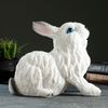 Хорошие сувениры / Piggy bank "Sedentary hare"