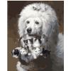 ВанГогВоМне / VanGogVoMne / Paint by number "Poodle with a basket of kittens" 40x50 cm