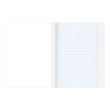 BRAUBERG / Notebook subject PALETTE OF KNOWLEDGE 36 sheets, cover coated paper, ALGEBRA, cell / 28 pcs.