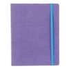 Альт / Diary 1-11 grade, leatherette (light), embossing, elastic band, lace, 48 sheets, "MEGAPOLIS", lilac / 10 pcs.