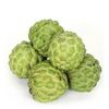 Custard Apple