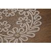 Lace doily number 8