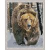 Опт-картина / Mosaico diamante 40x50, strass rotondi Orso bruno