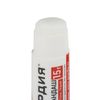 Glue stick GUARD 15 g