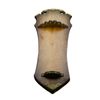 Золотая антилопа / Collectible souvenir. Skewer. Horny Goat Weed