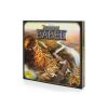 GamesDealer / 7 Чудес: Вавилон (Seven Wonders Bable)