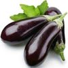 Fresh eggplant