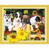 Опт-картина / 5D Diamante mosaico 40x50 diamantes de imitación redondos Cachorros
