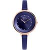 Pierre Ricaud / Strap P22039.9N4NQ watch