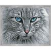 Опт-картина / Diamantmosaik 40x50, runde Strasssteine Graue Katze