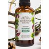 Deodorant "Coniferous" SIBERINA