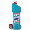 Cleaner DOMESTOS (Domestos) "Freshness of the Atlantic" with a whitening effect 1.5 l