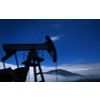 Certification of petrochemical products