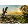 Hotel and excursion services