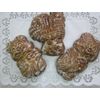 Gorodets gingerbread "Little Bear" souvenir