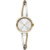 Đồng hồ DKNY / Crosswalk NY2924