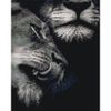 Опт-картина / Paint by number CAKADU 40x50 Lion and lioness