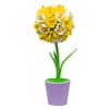 A set of creative topiary "Crocus" yellow/white