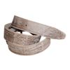 Belt "History of Railways"