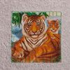 Dinosti / Set of towels in a box "Queen of the Jungle"