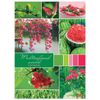 HATBER / Carnet A4, 96 feuilles, agrafe, cage, couverture carton, "Colorful world" / 6 pcs.
