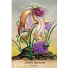GamesDealer / Tarot Cards "Field Guide to Garden Dragons"