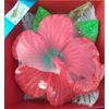 Hand made Soap, Spa soap, Fruit soap