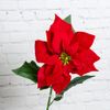 Kaemingk / Poinsettia on stem 67 cm red