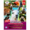 Умка / Umka / Encyclopedia "Exotic Animals"