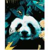 Опт-картина / Elmas mozaik, 40x50, kare rhinestones Panda çiçeklerde