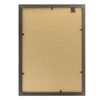 Frame 21x30 cm, plastic, baguette 16 mm BRAUBERG "HIT5", mahogany double-gilding, glass