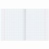 BRAUBERG / Notebook subject DARK 48 sheets, glossy varnish, CHEMISTRY, cage, tip / 10 pcs.