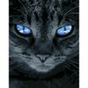 Опт-картина / Peinture par numéros 40x50 Cat's look