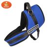 Пижон / Dude / harness with lining, size L (ОШ 66, ОГ 66-80 cm, sling 2.5 cm, blue