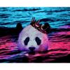 Опт-картина / Peinture par numéros 40x50 Queen panda