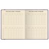 Альт / Diary grade 1-11, leatherette (light), embossing, elastic band, lace, 48 sheets, MEGAPOLIS Violet. / 10 pieces.