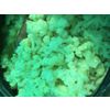 Pickled cauliflower
