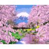 Опт-картина / Peinture par numéros 40x50 Printemps Japon