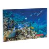 Thư mục phong bì có nút BRAUBERG "SEA WORLD", khổ A4, 160 micron, tối đa 100 tờ, in màu